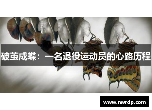 破茧成蝶：一名退役运动员的心路历程